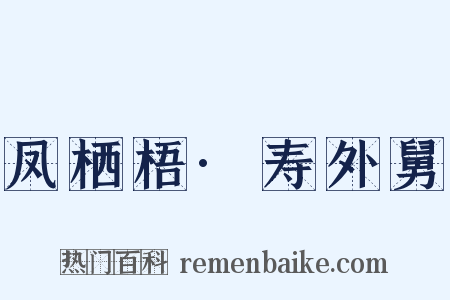凤栖梧·寿外舅是什么意思的图片